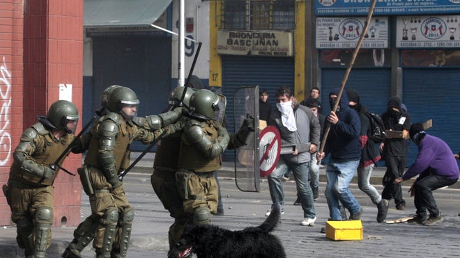 perros callejeros.jpg